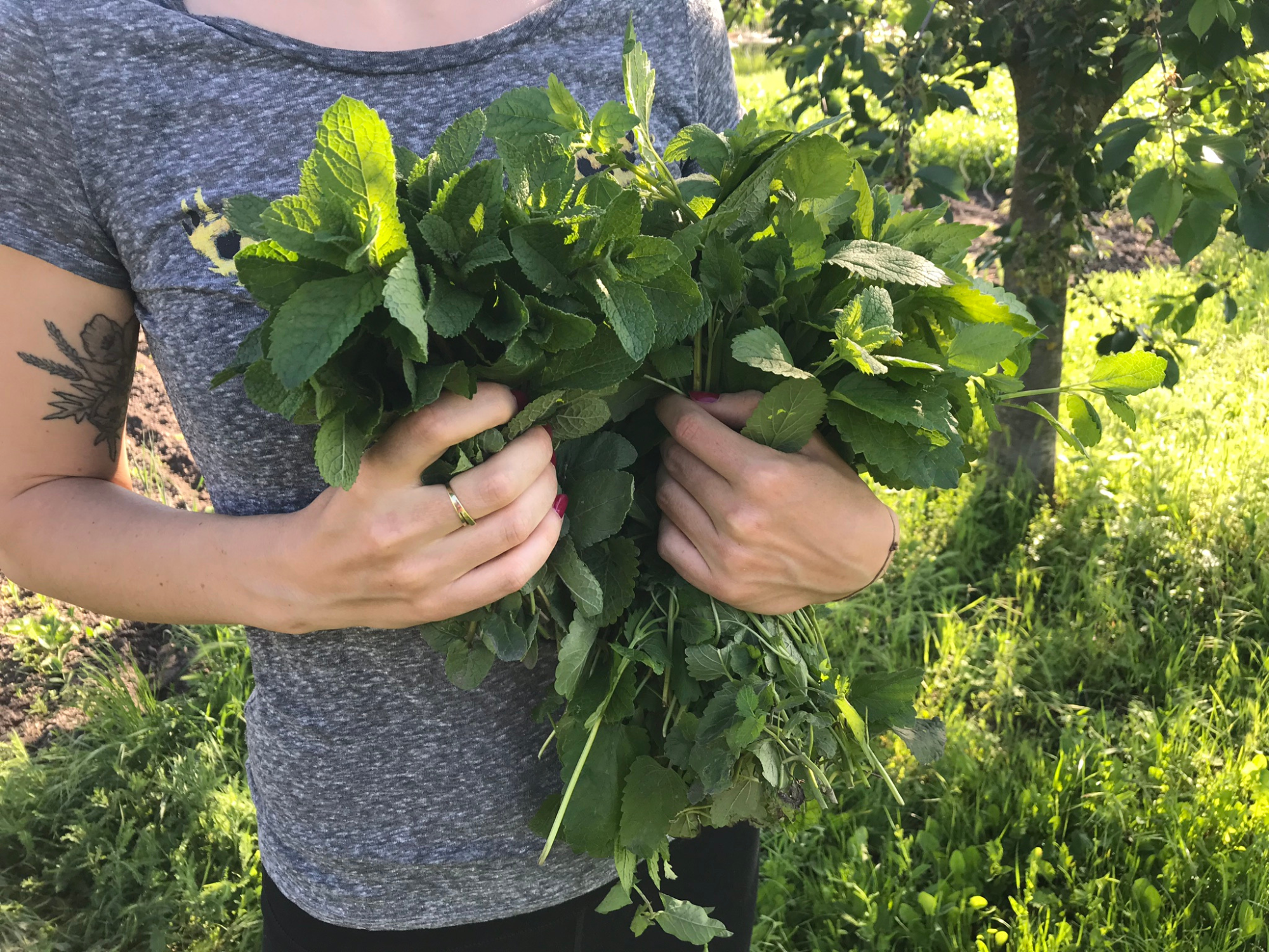 Obrázky na blog (2000 x 1500 px) (6)